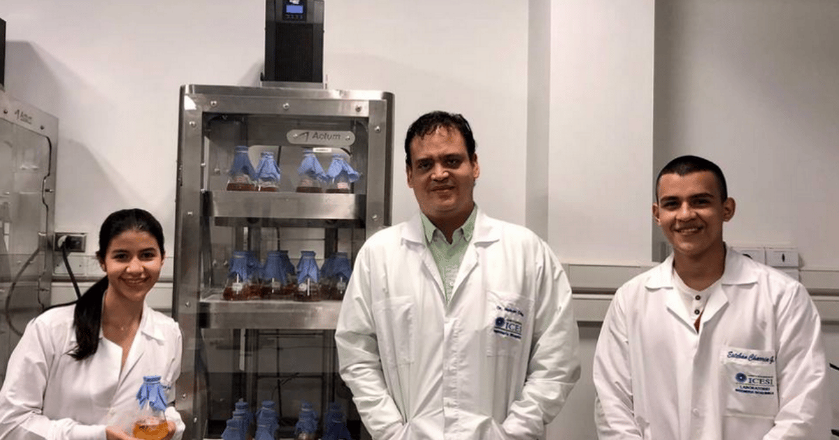 Colombianos encontraron sustancia que reduce la resistencia de las bacterias